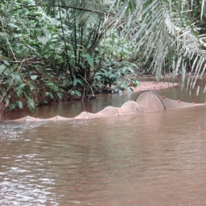 Ecotone Freshwater Consultants