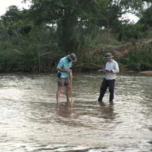 Ecotone Freshwater Consultants