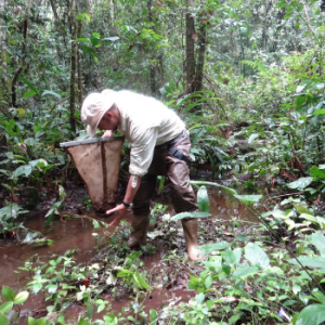 Ecotone Freshwater Consultants